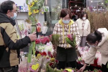 Menilik bunga Amerika Latin yang kian populer di Guangdong China