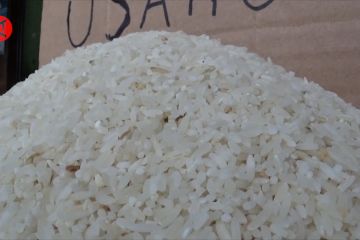 Meski terjadi kenaikan, stok beras di Kabupaten Tapin aman