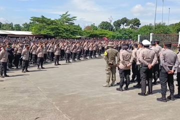 Pengamanan laga Persib Vs Persija libatkan Stewards