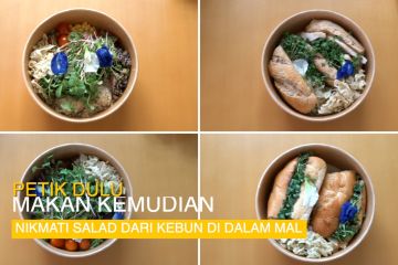 Petik dulu makan kemudian, nikmati salad dari kebun di dalam mal