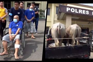 Polisi tangkap komplotan pencuri hewan ternak di Pandeglang