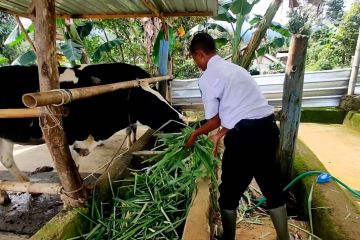 Sekolah peternakan, peluang besar persaingan kecil