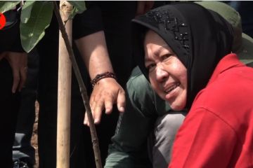 Simpatisan PDIP tanam pohon di Bekasi, Risma: Mitigasi bencana