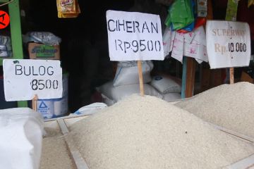 Upaya Bulog Gorontalo turunkan harga beras di pasaran