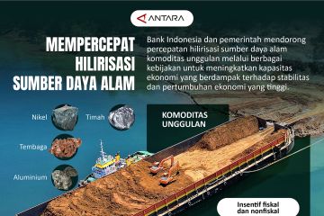 Mempercepat hilirisasi sumber daya alam