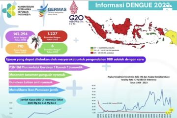 710 kasus dengue mengawali 2023