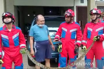Gulkarmat Jaktim evakuasi dua ular sanca di Cipayung