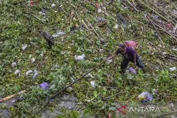 Sungai Martapura Tertutup Sampah