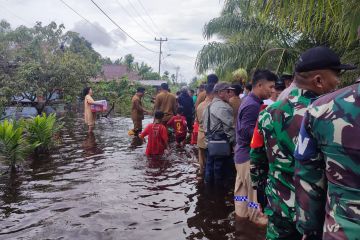 BNPB: Banjir Sambas sebabkan 37.344 jiwa di 8 kecamatan terdampak