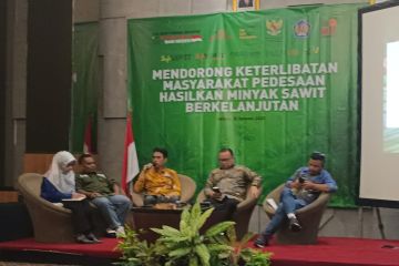 Pemerintah tingkatkan  peran petani dalam produksi sawit berkelanjutan