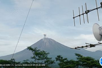 Gunung Semeru kembali erupsi dengan ketinggian letusan 700 meter