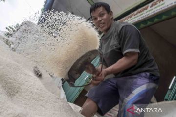 Harga beras masih mahal, Bulog akui ada mafia