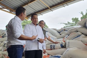 Dirut Bulog sidak ke Cipinang pastikan stok beras impor ludes