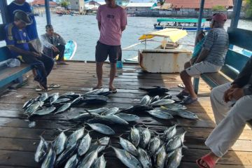 KKP siapkan lulusan ahli penyakit ikan melalui MBKM