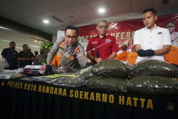 Pengungkapan Industri Rumahan Ganja Sintetis