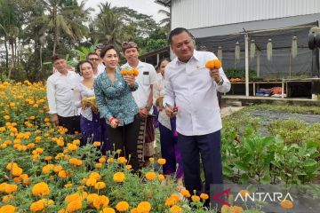 Kementan dan Kemendes PDTT pilih Gianyar contoh ketahanan pangan