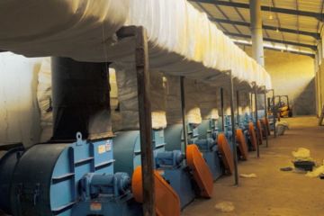 Kehadiran pabrik porang gairahkan produksi petani di Bulukumba