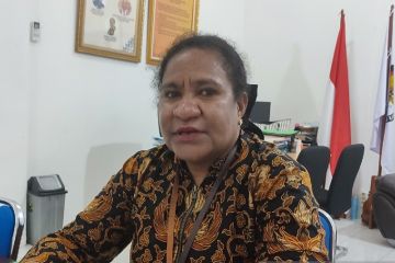 KPU RI tunjuk anggota KPU Papua tangani tiga DOB