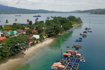 Mangrove Teluk Ambon berkurang 10 hektare dalam dua dekade terakhir