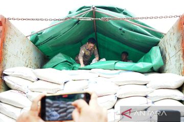 Mentan Syahrul pastikan stok beras aman hingga Lebaran