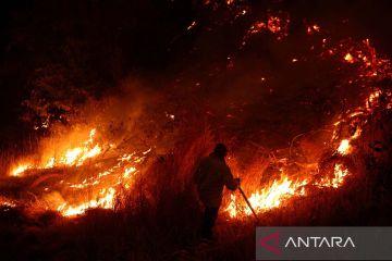 Kebakaran hutan di Chile