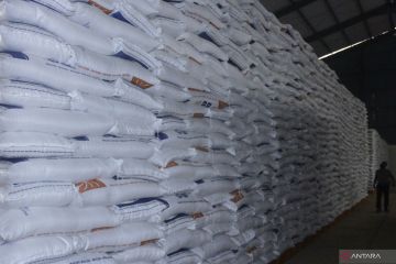 BULOG GELONTORKAN BERAS SPHP DI NTT