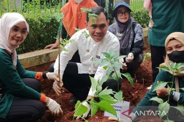 Pemkot Jaksel tanam kelor untuk cegah tengkes