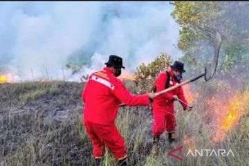 Manggala Agni Sultra ingatkan masyarakat waspadai Karhutla 2023