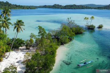 Berwisata menelusuri gugusan pulau di Mentawai