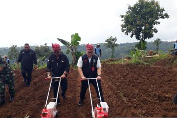 Kementan: Pengembangan kelapa genjah perkuat perekonomian nasional