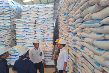 Pupuk Indonesia siapkan 47.250 ton stok pupuk bersubsidi buat Lampung