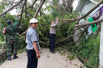 Polisi Karawang turun tangan atasi pohon tumbang halangi jalan