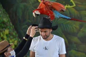 Album Asia: Bermain bersama burung-burung cantik di Pattaya Bird Park