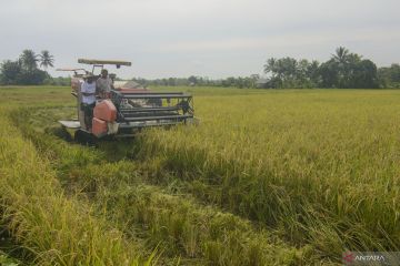 BRIN: Masyarakat kian tertarik produk pertanian organik