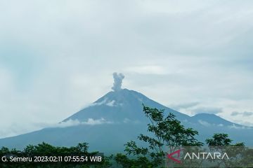 Gunung Semeru kembali erupsi dengan tinggi letusan 600 meter