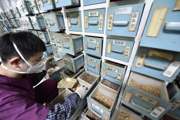 China luncurkan regulasi untuk kembangkan obat TCM baru