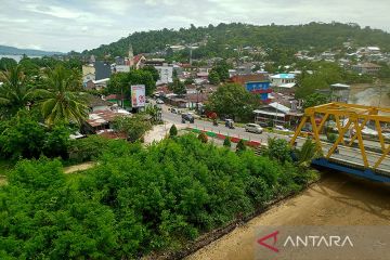 BRIN temukan limbah minyak pada mangrove yang mati di Teluk Ambon