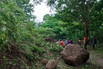 Akses jalan antardesa di Jember terdampak bencana longsor