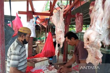 Harga daging sapi di Pangkalpinang turun jadi Rp90.000 per kilogram