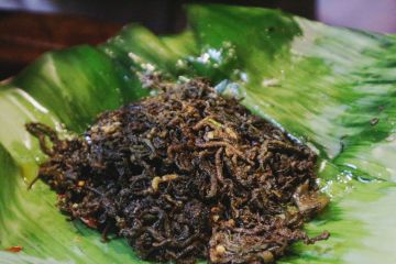 Hidangan unik nyale khas Lombok, hanya ada setahun sekali