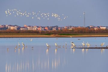 Danau air tawar terbesar di China catat peningkatan level air