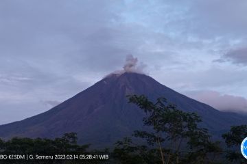 Gunung Semeru meletus lagi, ketinggian capai 800 meter