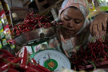 HARGA CABAI NAIK DRASTIS