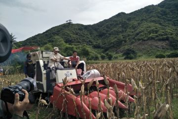 Menhan Prabowo Subianto panen raya jagung di Lombok Tengah