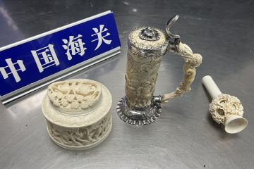 Artefak gading disita petugas bea cukai di China tengah