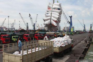 Bongkar muat beras di Pelabuhan Tanjung Perak Surabaya