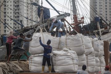 Ekonom proyeksikan kinerja impor RI resilien di angka -15,38 persen