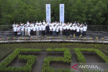 Anggota World Water Council tinjau hutan mangrove G20