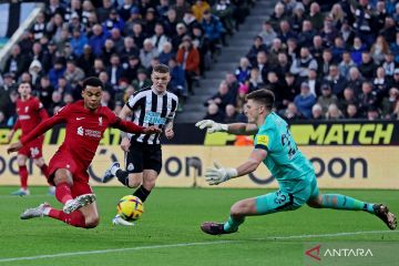 Liga Inggris : Liverpool menang 2-0 di kandang Newcastle United