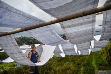 Peningkatan produksi kain tradisional di Ibun